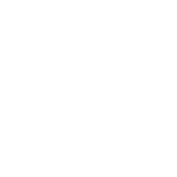 Foot Zoning Icon